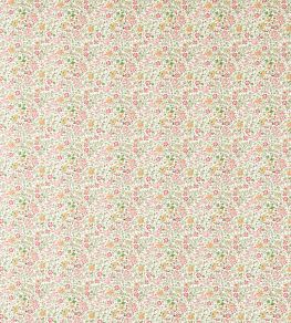 Gamthi Fabric by Clarke & Clarke Sage/Blush Gamthi Fabric by Clarke & Clarke Sage/Blush