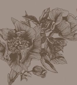 Giant Peonies Mural by Coordonne Cacao Giant Peonies Mural by Coordonne Cacao