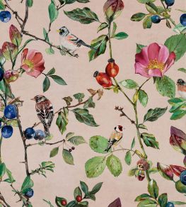Goldfinch Song Wallpaper by Coordonne Blush Goldfinch Song Wallpaper by Coordonne Blush