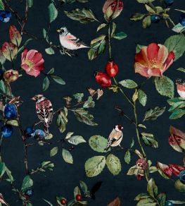 Goldfinch Song Wallpaper by Coordonne Night Goldfinch Song Wallpaper by Coordonne Night