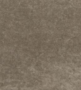 Kings Velvet Fabric by GP & J Baker Mink Kings Velvet Fabric by GP & J Baker Mink