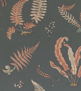 Ferns Wallpaper by GP & J Baker Coral/Charcoal Ferns Wallpaper by GP & J Baker Coral/Charcoal