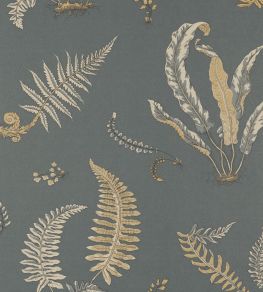 Ferns Wallpaper by GP & J Baker Charcoal/Bronze Ferns Wallpaper by GP & J Baker Charcoal/Bronze