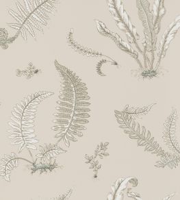 Ferns Wallpaper by GP & J Baker Linen Ferns Wallpaper by GP & J Baker Linen