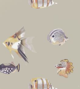 Kamanu Wallpaper by Harlequin Mandarin/Fig Kamanu Wallpaper by Harlequin Mandarin/Fig