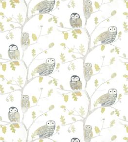 Little Owls Wallpaper by Harlequin Kiwi Little Owls Wallpaper by Harlequin Kiwi