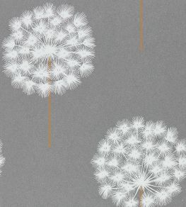 Amity Wallpaper by Harlequin Pewter/Brass Amity Wallpaper by Harlequin Pewter/Brass