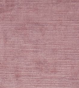 Tresillo Velvet Fabric by Harlequin Rose Water