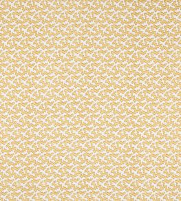 Hayden Fabric by Colefax and Fowler Gold