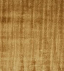 Helix Fabric by Prestigious Textiles Honey