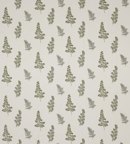 Herbarium Fabric by Clarke & Clarke Sage Herbarium Fabric by Clarke & Clarke Sage