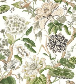 Hill Garden Wallpaper by Thibaut White and Green Hill Garden Wallpaper by Thibaut White and Green