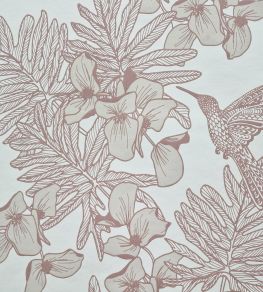 Hummingbird Wallpaper by 1838 Wallcoverings Beach Hummingbird Wallpaper by 1838 Wallcoverings Beach