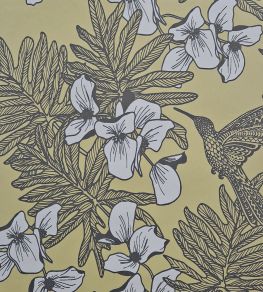 Hummingbird Wallpaper by 1838 Wallcoverings Mustard