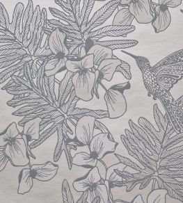 Hummingbird Wallpaper by 1838 Wallcoverings Mist