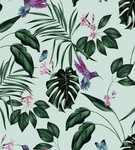 Hummingbird Wallpaper by Ohpopsi Duck Egg Hummingbird Wallpaper by Ohpopsi Duck Egg