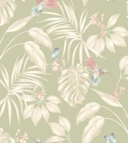 Hummingbird Wallpaper by Ohpopsi Sage Hummingbird Wallpaper by Ohpopsi Sage