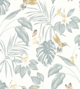 Hummingbird Wallpaper by Ohpopsi Wedgewood Hummingbird Wallpaper by Ohpopsi Wedgewood