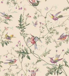 Hummingbirds Wallpaper by Cole & Son Classic Multi & Old Olive on Cream Hummingbirds Wallpaper by Cole & Son Classic Multi & Old Olive on Cream