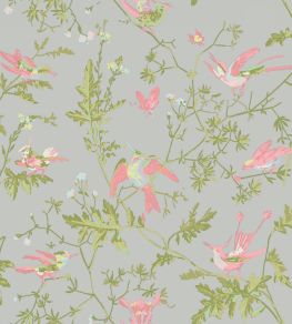 Hummingbirds Wallpaper by Cole & Son Rose & Olive on Grey Hummingbirds Wallpaper by Cole & Son Rose & Olive on Grey