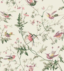 Hummingbirds Cotton Fabric by Cole & Son Classic Multi & Old Olive on Cream Hummingbirds Cotton Fabric by Cole & Son Classic Multi & Old Olive on Cream
