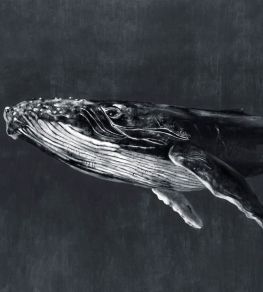 Humpback Whale Mural by Coordonne Night Humpback Whale Mural by Coordonne Night