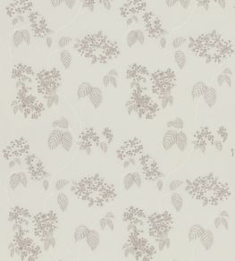 Hydrangea Sheer Fabric by GP & J Baker Ivory