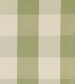 Avon Check Fabric by Ian Mankin Sage