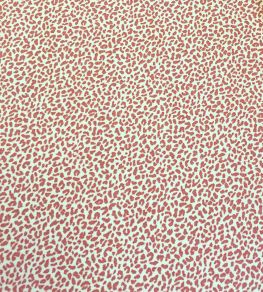 Savannah Fabric by Ian Sanderson Salmon Savannah Fabric by Ian Sanderson Salmon