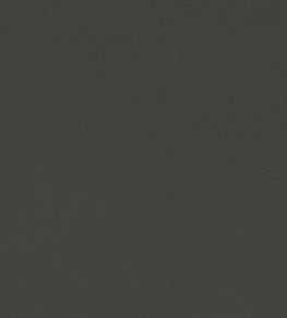 Ice II Fabric by Kirkby Design Anthracite Ice II Fabric by Kirkby Design Anthracite