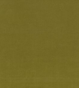 Ice II Fabric by Kirkby Design Fern