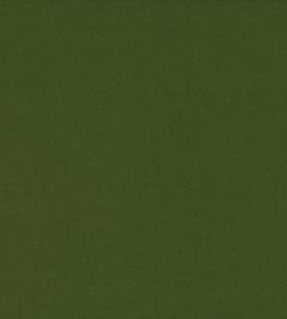 Ice II Fabric by Kirkby Design Olive