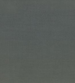 Ice II Fabric by Kirkby Design Seal Ice II Fabric by Kirkby Design Seal