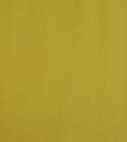 Ingleton Fabric by Prestigious Textiles Lime