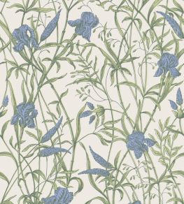 Iris Wallpaper by Cole & Son Iris Blue on Stone Iris Wallpaper by Cole & Son Iris Blue on Stone