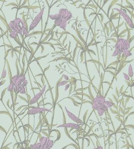 Iris Wallpaper by Cole & Son Lavender on Duck Egg Iris Wallpaper by Cole & Son Lavender on Duck Egg