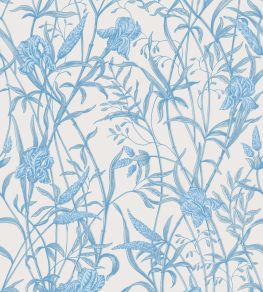 Iris Wallpaper by Cole & Son Soft Cerulean on Porcelain Iris Wallpaper by Cole & Son Soft Cerulean on Porcelain