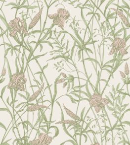 Iris Wallpaper by Cole & Son Soft Coral on Chalk