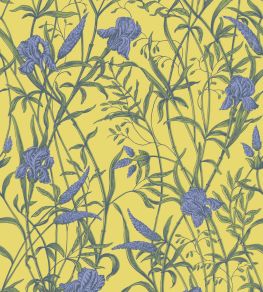 Iris Wallpaper by Cole & Son Violet on Citrine