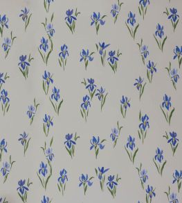 Iris Wallpaper by Sophie Harpley Original Iris Wallpaper by Sophie Harpley Original