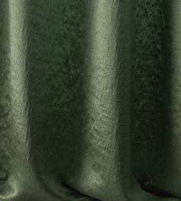Jade Fabric by Lizzo Forest Green Jade Fabric by Lizzo Forest Green