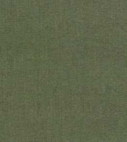 Jaipur Fabric by Clarke & Clarke Moss