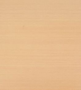 Klint Wallpaper by Jane Churchill Copper