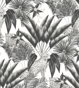 Jungle Cheetah Wallpaper by Ohpopsi Raven Jungle Cheetah Wallpaper by Ohpopsi Raven
