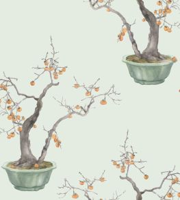 Kaki Persimmon Wallpaper by Cole & Son Jade Green & Mangold Kaki Persimmon Wallpaper by Cole & Son Jade Green & Mangold