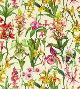 Kalina Wallpaper by Harlequin Parchment / Forest / Azalea Kalina Wallpaper by Harlequin Parchment / Forest / Azalea