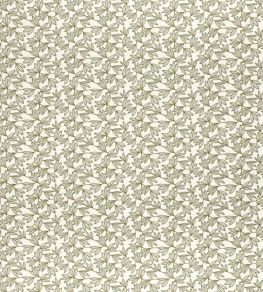 Kalmia Fabric by Clarke & Clarke Herb Kalmia Fabric by Clarke & Clarke Herb