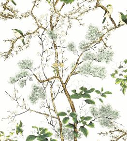Katsura Wallpaper by Thibaut Green and White Katsura Wallpaper by Thibaut Green and White