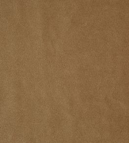Kensington Fabric by Prestigious Textiles Antique