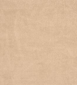 Kensington Fabric by Prestigious Textiles Calico